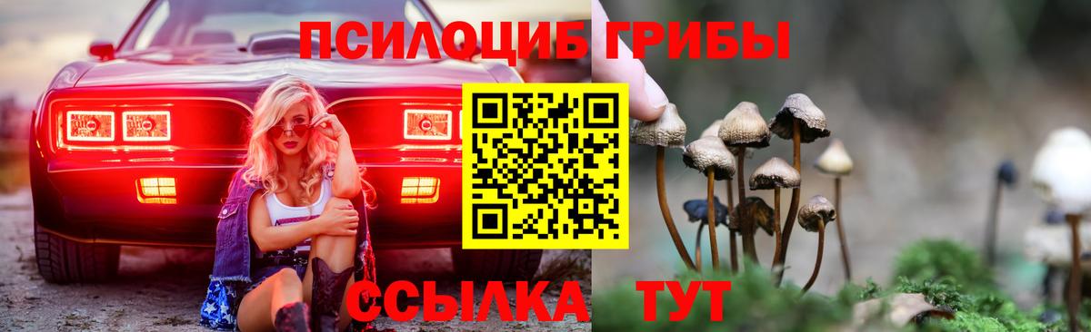 Галлюциногенные грибы MAGIC MUSHROOMS  Вход с VPN  купить наркоту  Тосно 